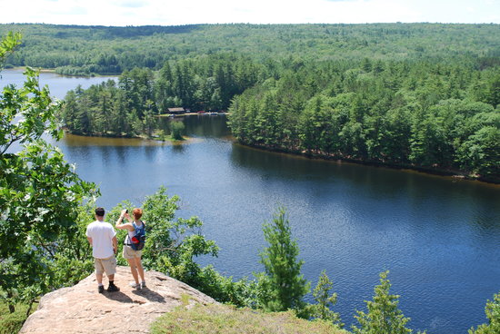 View From The Top